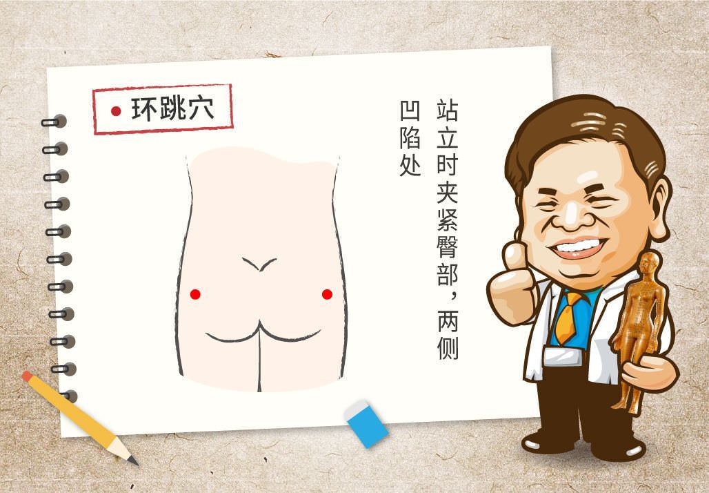 环跳穴
