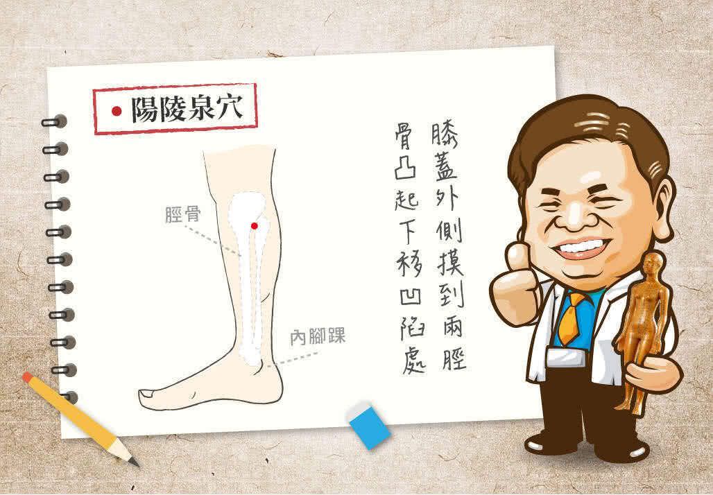 陽陵泉穴